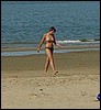 Dsc00651b.JPG